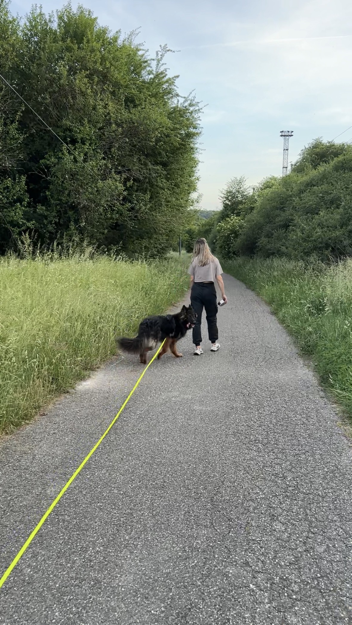 Promenade individuelle